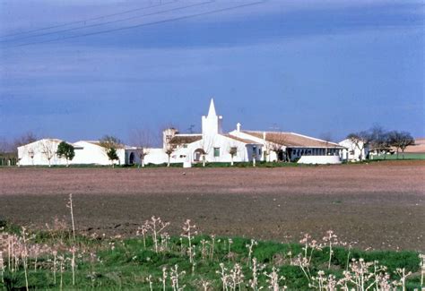 terra cadiz|shangri la farm seville.